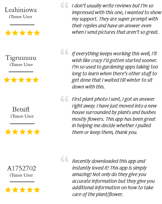 app_user_reviews